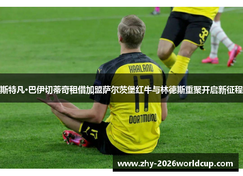 斯特凡·巴伊切蒂奇租借加盟萨尔茨堡红牛与林德斯重聚开启新征程 斯特凡·巴伊切蒂奇租借加盟萨尔茨堡红牛与林德斯重聚开启新征程