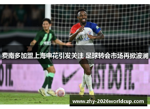 费南多加盟上海申花引发关注 足球转会市场再掀波澜
